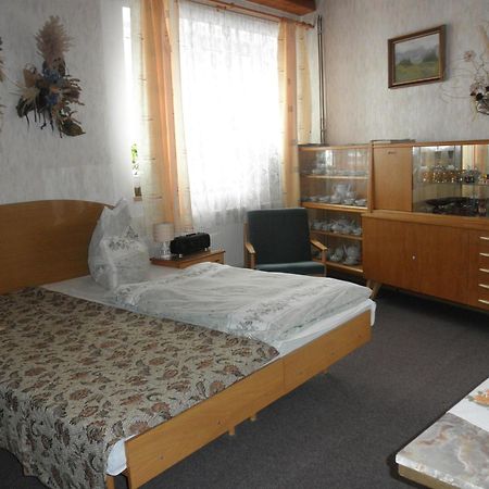 Pension U Kaktusu Karlovy Vary Exterior photo