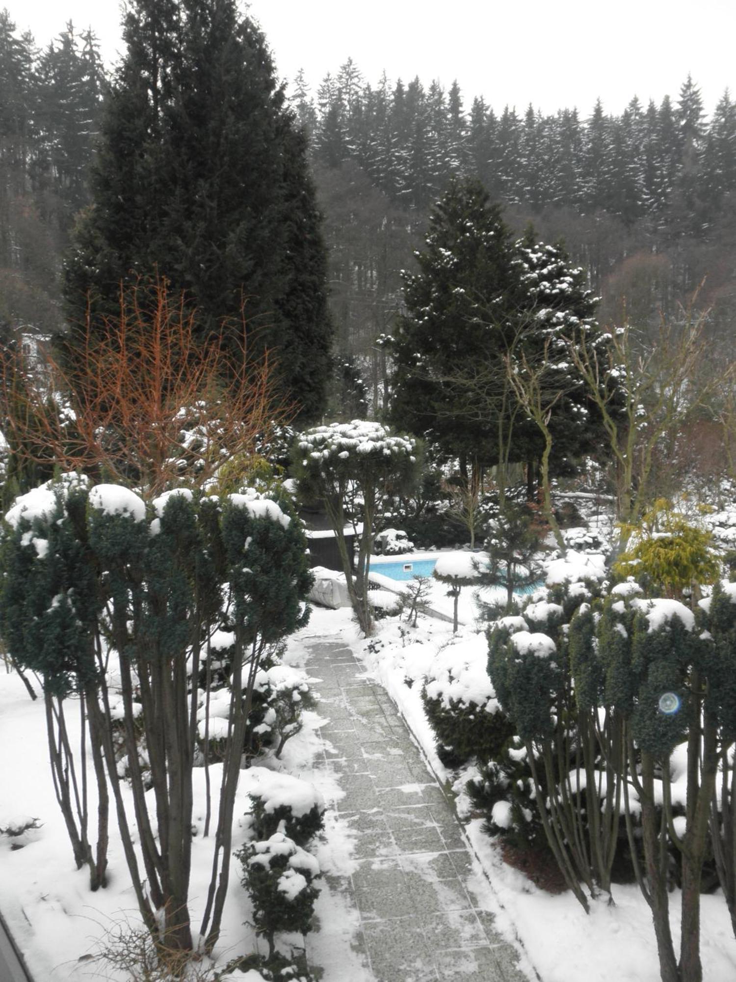 Pension U Kaktusu Karlovy Vary Exterior photo