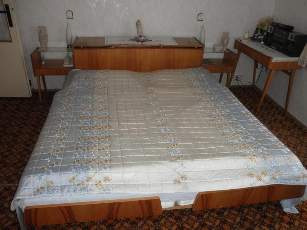 Pension U Kaktusu Karlovy Vary Room photo