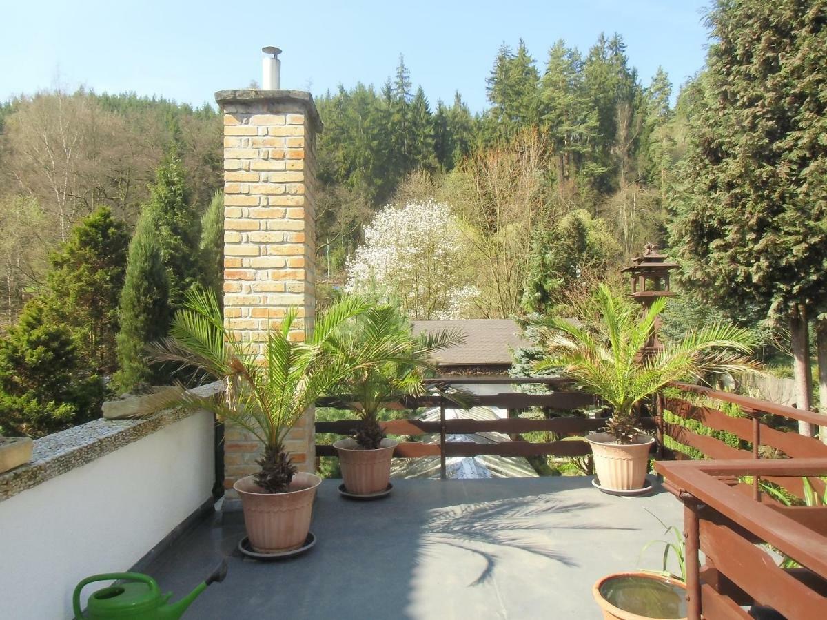Pension U Kaktusu Karlovy Vary Exterior photo